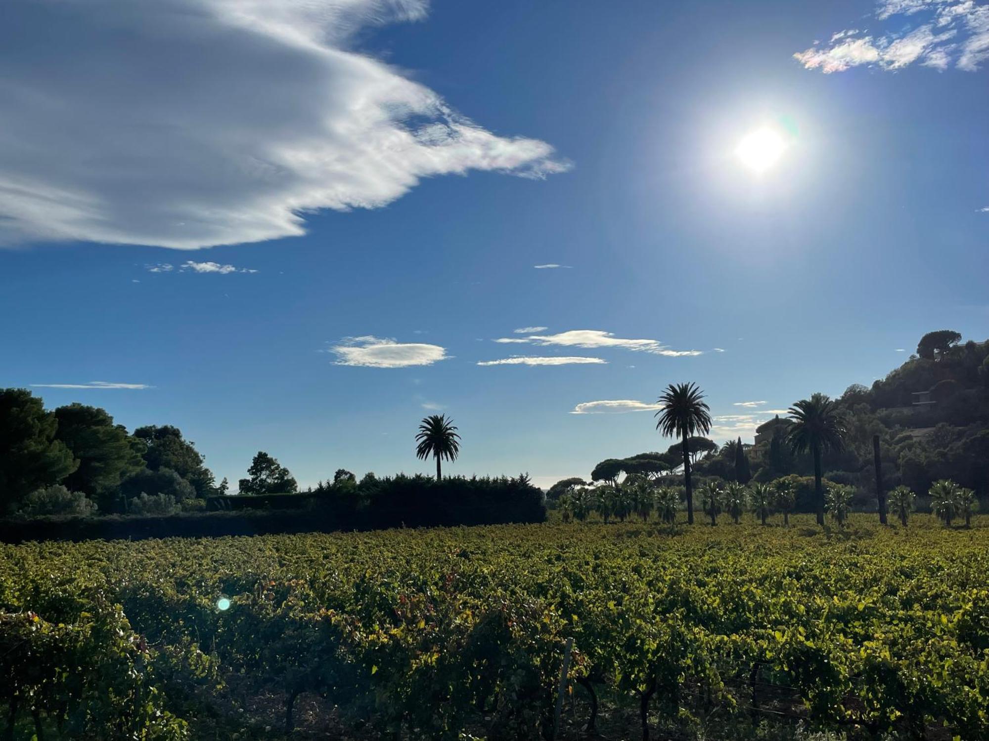 La Villa Cavalaire Exteriör bild